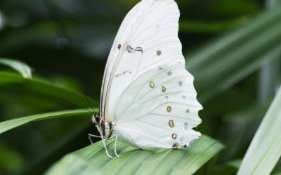 10 Obscure Superstitions in the Philippines