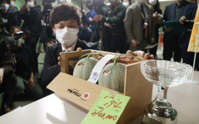 Japan Premium Melons Go for $24,800 after Virus Slump
