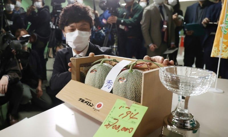 $25,000 Melons