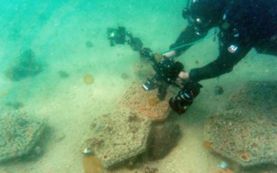 Hong Kong’s Fragile Coral Reefs Boosted by 3D Printing