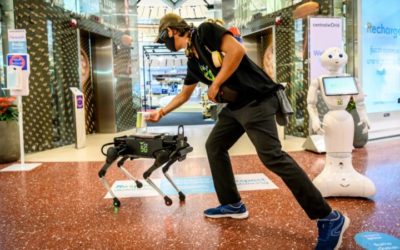 Robot Dog Hounds Thai Shoppers to Keep Hands Virus-Free