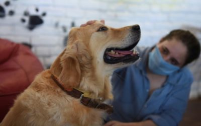 People Adopting Dogs across India to Cope with Loneliness Amid Pandemic