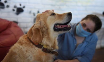 People Adopting Dogs across India to Cope with Loneliness Amid Pandemic