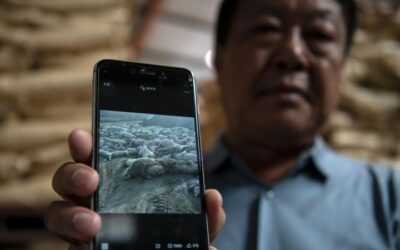 China Court Jails Billionaire Sun Dawu for 18 Years for ‘Provoking Trouble’