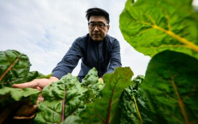 Hong Kong’s Urban Farms Sprout Gardens in the Sky