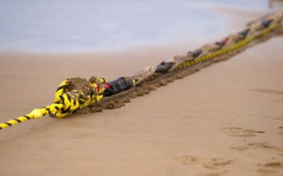 New Asia Undersea Data Cable Plan Unveiled by Google, Facebook