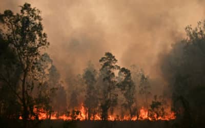 Australia Volunteer Firefighter Charged With Setting the Catastrophic Bushfires