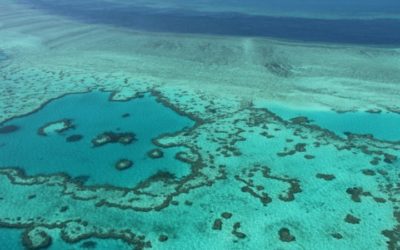 Intervention ‘Could Buy 20 Years’ for Declining Great Barrier Reef