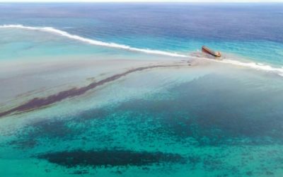 Mauritius Races to Clean Up Massive Oil Spills