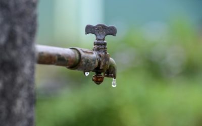 Nearly 500 People Infected with Bacteria from Contaminated Water