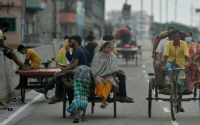 Lockdown Deaths of Animals in Bangladesh Pet Shops Spark Outcry