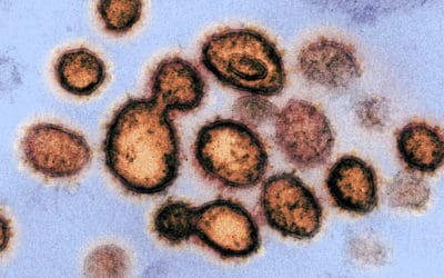 Coronavirus Lingers on Surfaces but Disinfectants Kill It