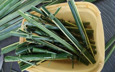 Philippine Café Uses Coconut Leaves as Straws