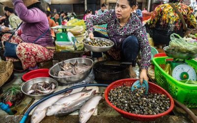 Cambodian Cuisine: A Taste of Culture