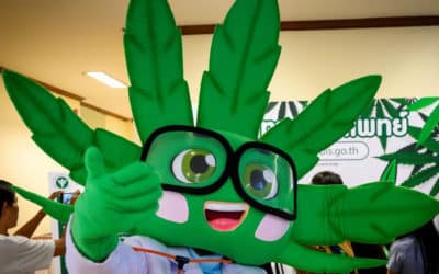 Bangkok Marijuana Clinic Handout Free Cannabis Oil