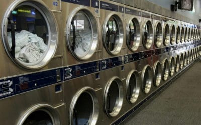 Laundromat Cat Killer Sentenced for 34 Months
