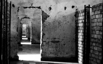 The Legacy of Cambodia’s Killing Fields