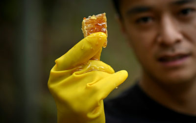 China’s Farm to Riches by Using Videos Apps to Create Buzz Online