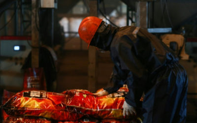 New ‘Cleaner’ Fuel Linked to Carbon Monoxide Poisoning in Mongolia