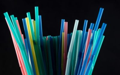 Oil Industry Placing Risky Bet on Plastics: Report