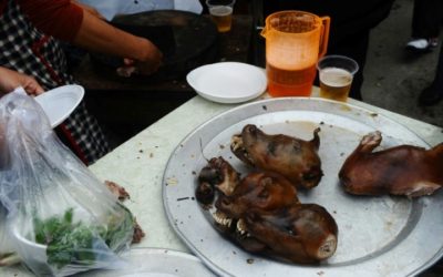 Vietnam Couple Detained Over Killing Pet Dogs and Cats for Meat