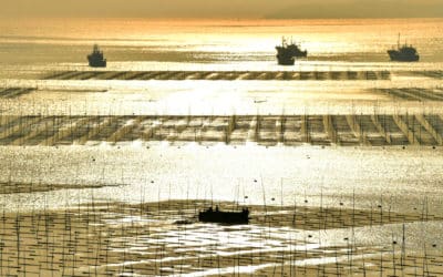 Xiapu: The Most Beautiful Coastal Mud Flats for Photography Enthusiasts