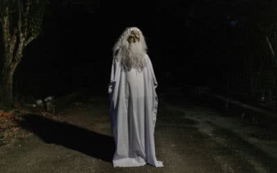 Malaysian Ghostly Patrol on Lockdown