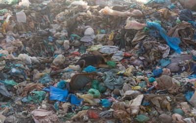 Trash Talk: Asia is Not Your Dumping Ground