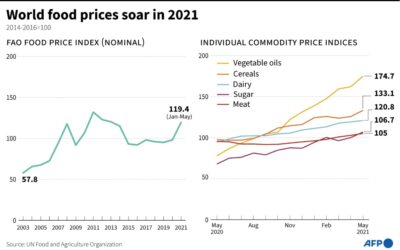 Rising Food Prices Deepen the Woes of World’s Poorest