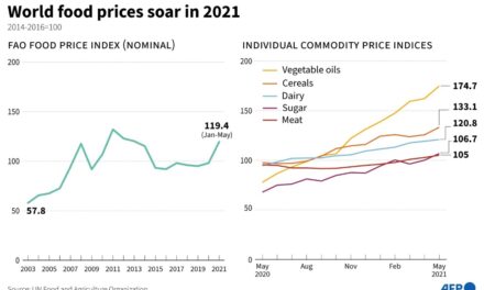 Rising Food Prices Deepen the Woes of World’s Poorest