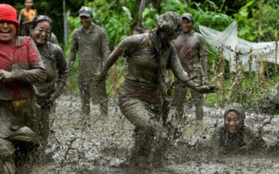 Nepal Farmers Celebrated National Paddy Day