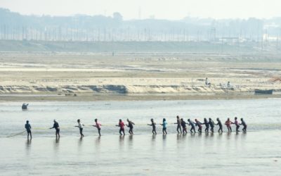 Three Arrested in India for Beating Endangered Dolphin to Death