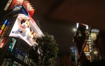 Picture Purrfect: Giant 3D Cat Draws Tokyo Crowds