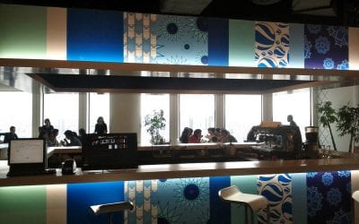 Where are all the Google’s Offices in Asia?