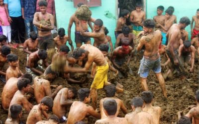 Indian Cow Dung Festival Celebrates the End to Diwali