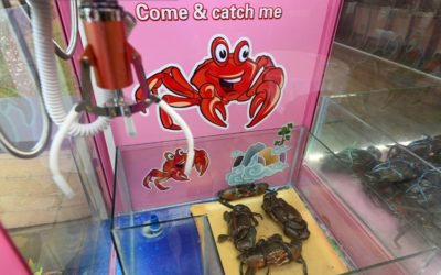 Singapore Restaurant with ‘Catch Me if You Can’ Live Crab Stunt Suspended