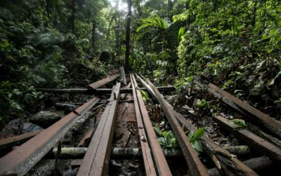 Philippines: Deadliest Country in Asia for Land Defenders