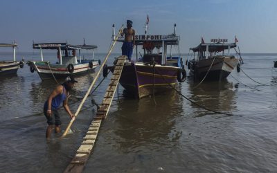 Watch Out: Hazardous Fish and Mussels in Jakarta Bay