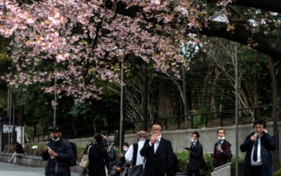 Philip Morris to Phase Out Cigarettes in Japan within Decade