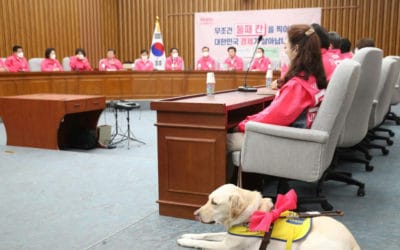 South Korea’s Parliament Plans to Allow Guide Dogs after a 16 Years Ban