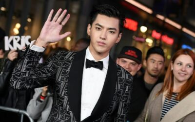 Chinese Pop Star Kris Wu Detained on Suspicion of Rape