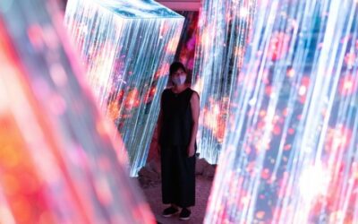 Japan Forest Lights Up in Digital Art Show