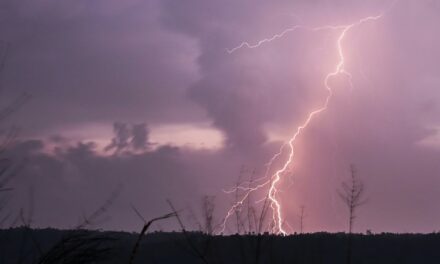 Lightning Strikes Kill 16 at Bangladesh Wedding