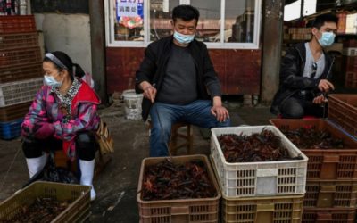 China Aims to Phase Out Sale of Live Poultry at Food Markets