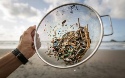 14 Million Tons of Microplastics Sitting on Seafloor