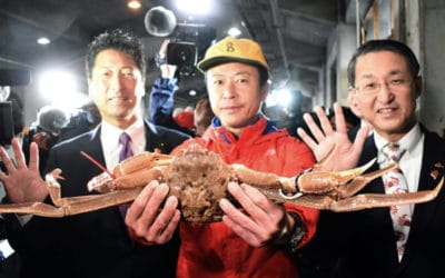 World’s Most Expensive Crab Priced at $46,000 in Japan Auction