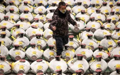Pandemic Overshadows Japan’s New Year Tuna Auction