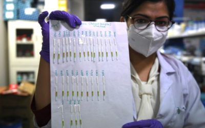 India to Roll Out Quick and Cheap Coronavirus Paper Test
