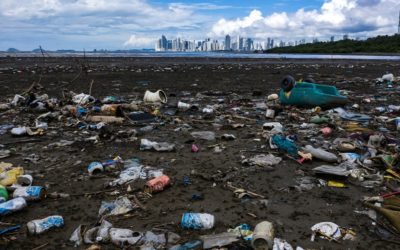 Coca Cola Plastics Tops the List on World Clean Up Day