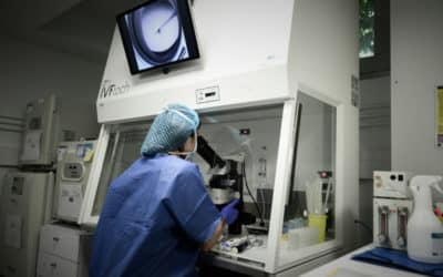 First Case of Its Kind: Single Chinese Woman Sues Over Egg Freezing
